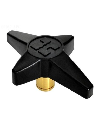 Manette de Serrage pour Filtres à Cartouche C0900/C1200 Hayward 