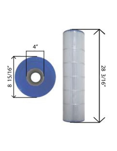 Cartouche pour Filtre SwimClear C4020/C4025 Hayward