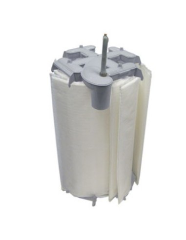 Ensemble Filtrant pour Filtres à Diatomée DE6000 Hayward