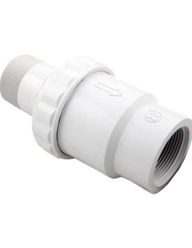 Clapet Anti-Retour 1.5'C1100-2400CF pour Distributeurs de Produits Chimiques Hayward
