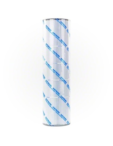 Cartouche pour Filtres SwimClear Hayward