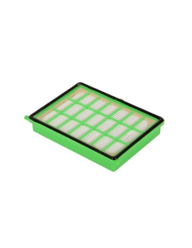 Filtre Hepa pour Aspirateur Avec Sac Moulinex