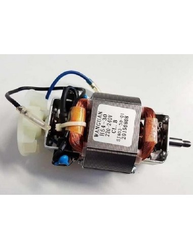 Moteur pour Blenders Moulinex