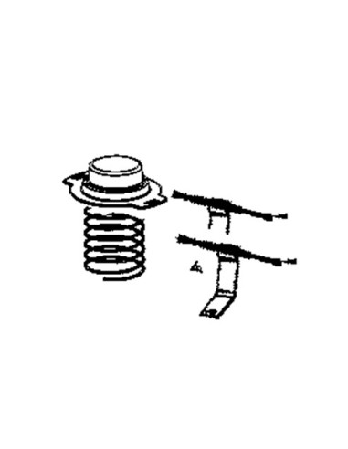 Sonde + Fusible + Bride + Ressort pour Multicuiseurs Moulinex