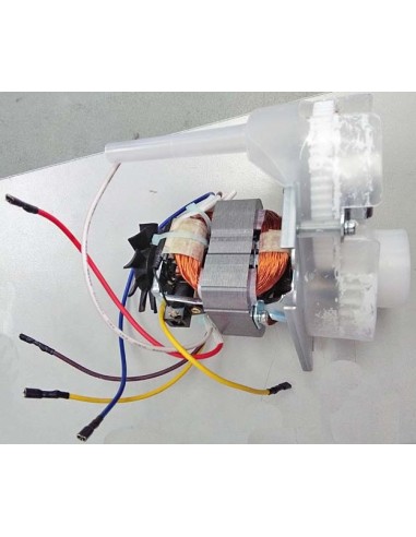 Moteur Complet 230V pour Robot Multipro Compact True KENWOOD