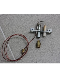Remplacement Écouteur Interne iPhone 5S Apple