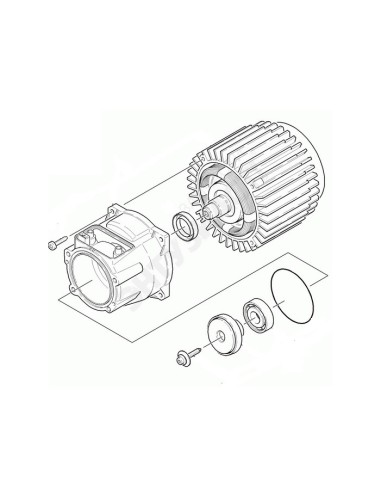 Moteur Complet pour Nettoyeur Haute Pression HD 605 Kärcher