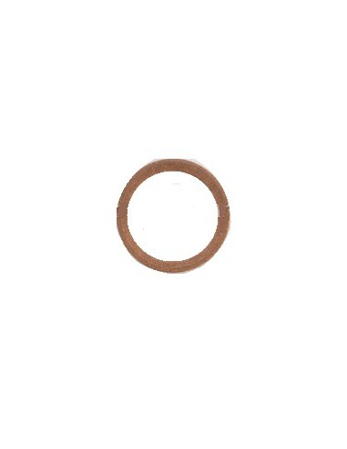 Bague pour Nettoyeur Haute Pression HDS 555 C Kärcher