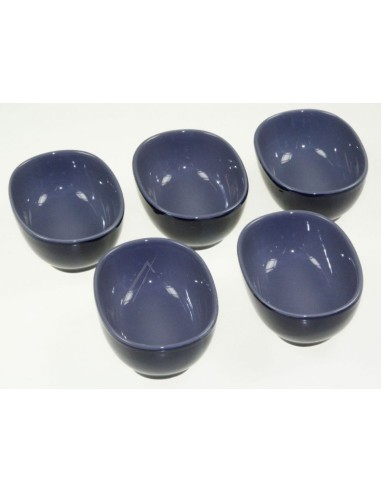 Bol Bleu x5 pour Appareil à Fondue Color Type 659 Serie 1 Tefal 