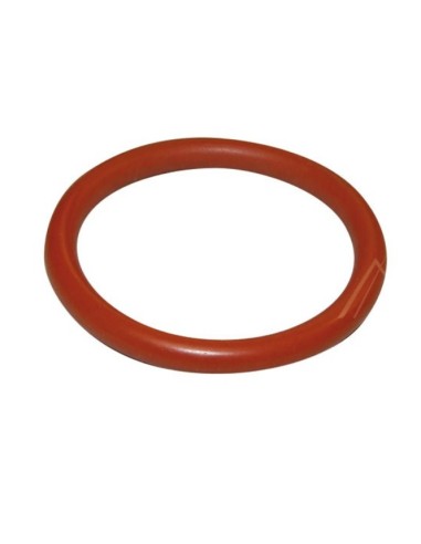 Joint Filtre Tamis pour Machine à Café SUP0310R Saeco