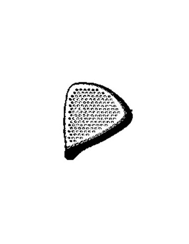 Embout Amovible pour Défroisseurs Rowenta