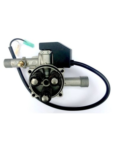 Cylindre équipé complet pour Nettoyeur Haute Pression Eau Chaude MEK 1108 Lavor