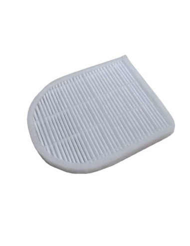 Filtre Hepa Sortie Moteur pour Aspirateur TFS5193011 Hoover