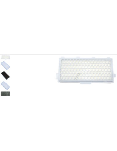 Filtre Actif Air Clean SF AA50 pour Aspirateur...
