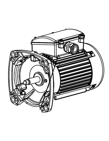 Moteur 1.5CV pour Pompe Tristar Hayward