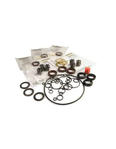 Ensemble Jeu de Pompe pour Nettoyeur Haute Pression Kärcher