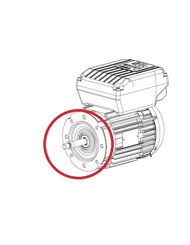 Flasque Avant de Moteur pour Pompe Super Pump Hayward