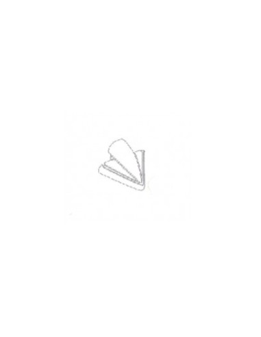 Brosse triangulaire pour nettoyeur vapeur Astoria