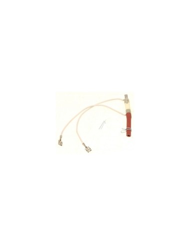 Ensemble Electrode pour Nettoyeur Vapeur Domena