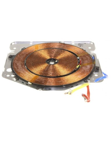 Inducteur 280 MM pour Plaque de Cuisson Sauter