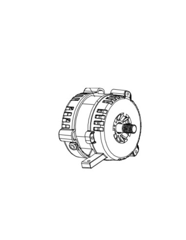 Moteur pour Trancheuse Ricambi