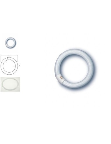 Lampe Fluorescente Circulaire G10Q 40W
