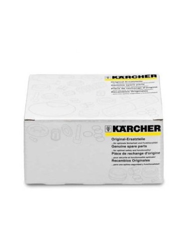 Kit de Pompe pour Nettoyeur Haute Pression Kärcher