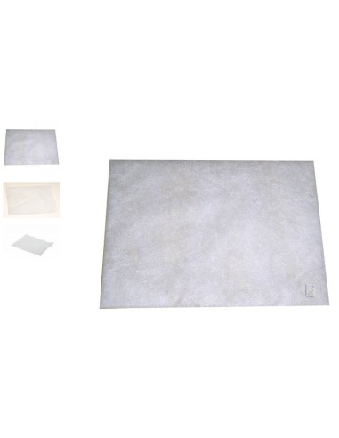 Filtre de Protection Moteur pour Aspirateur BOSCH