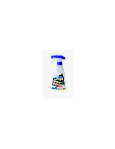 VAPORISATEUR NETTOYANT INOX 500 ml pour Barbecue Campingaz