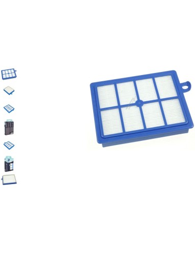 Filtre Lavable Allergy Plus pour Aspirateur Electrolux