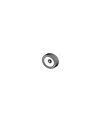 Roue Diamètre 160 x1 pour barbecue  Campingaz