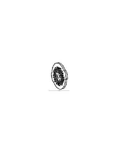 Grille Petit Hachoir pour Robot i Coach Touch Noir Moulinex