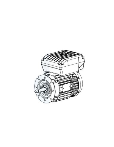 Moteur pour Pompe Hayward