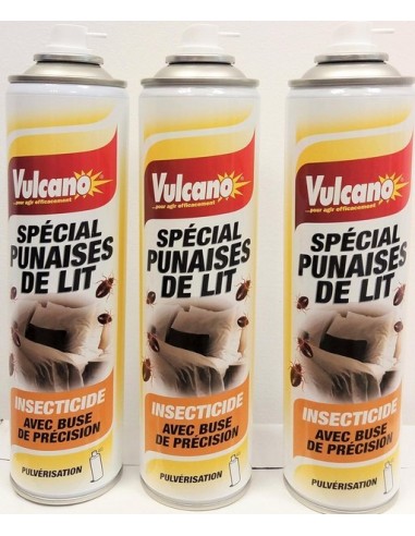 Pulverisateur Lot de 3 Bombes Insecticide Punaises de Lit