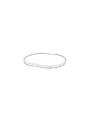Pierre  pour Pierrade / Raclette Gustivio Type 1243 Série 1  Moulinex