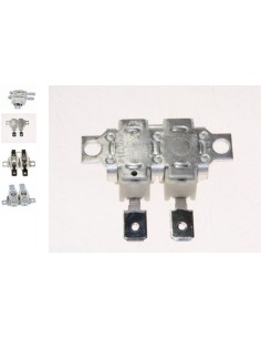 Ensemble Module Piezo + Bouton pour Désherbeur Garden Torch Campingaz