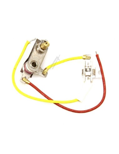Thermostat + Fusible pour Centrale Vapeur Astoria