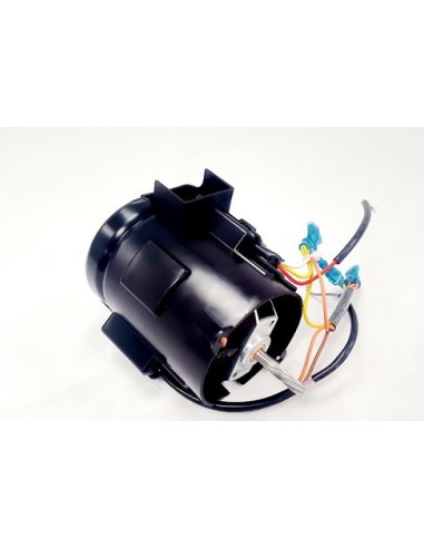 Ensemble Moteur 220-240V pour Hachoir KENWOOD