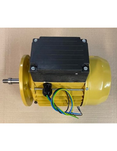 Moteur 1 CV Mono pour Pompe Max - Flo XL Hayward