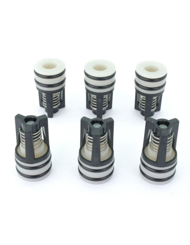 Kit Soupape pour Nettoyeur Haute Pression Nilfisk
