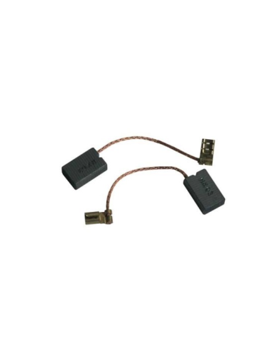 Jeu de 2 Charbons pour Aspirateur Kärcher