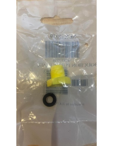 Bouchon de Purge D'air pour Filtre à Sable Side Hayward