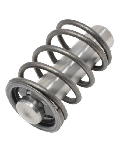 Piston Complet pour Nettoyeur Haute Pression Karcher