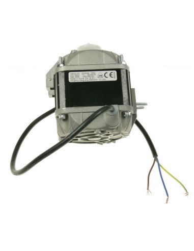 Moteur du Ventilateur 25 watts avec Visserie