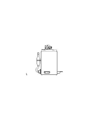 Compresseur pour Déshumidicateur DELONGHI