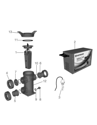 Union connector kit 63 mm pour Traitement de L'eau Saline C HCSC60E Hayward