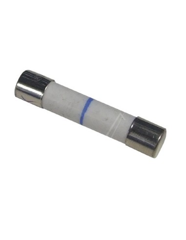 Fusible 32mm pour Micro Ondes LG