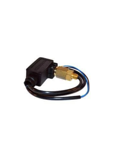 Pressostat pour Nettoyeur Haute Pression KARCHER