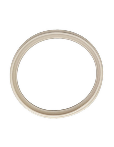 Joint Diaphragme EC65/EC75 pour Filtre Hayward