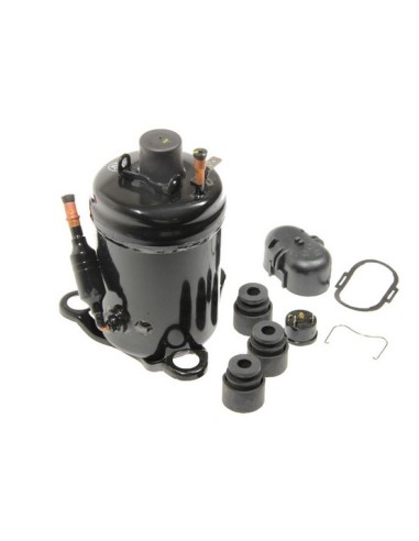 Compresseur avec Klixon pour Deshumidificateur DELONGHI